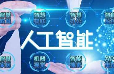 數字金融新引擎 小程序、門戶網站與金融外包服務的協同發展