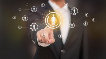 軟件開發(fā)中IT人員的必要工作內容解析